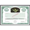 Image 1 : Golden Eagle International, Inc. 1988 Specimen Stock Certificate with Early and Possible First Use o