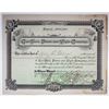Image 1 : Gas, Fuel, Power and Light Co., 1891 I/C Stock Certificate