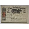 Image 1 : Crescent City Oil Co., 1864 I/U Stock Certificate