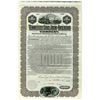 Image 1 : Tennessee Coal, Iron and Railroad Co. 1901 Specimen Bond