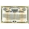 Image 1 : City of Saint Louis, ca.1929 Specimen "Hospital" Bond