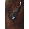 Image 3 : George Nakashima Freeform R coffee tabl