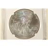 Image 1 : 2012 AMERICAN SILVER EAGLE NGC MS70 1ST RELEASES