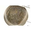 Image 1 : 177-192 A.D. COMMODUS ANCIENT COIN