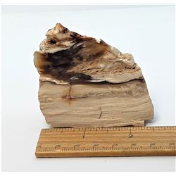 5)  ROUGH OPALITE MINERAL SPECIMEN