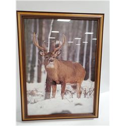 18 X 24 FRAMED DEER PICTURE