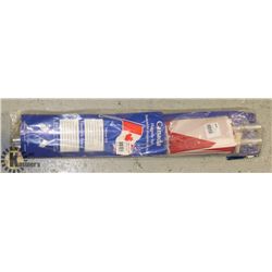 CANADIAN FLAG POLE SET
