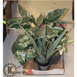 LOT OF PLASTIC PLANTS