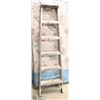 Image 1 : FEATHERLITE 6' LADDER.