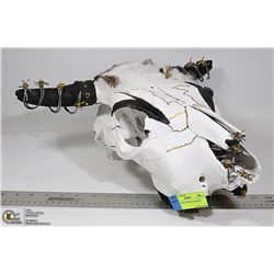 SKULL WITH HORNS & BARBED WIRE