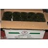 Image 1 : 4 CASES OF COIL ROOFING NAILS