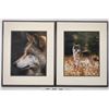 Image 8 : Wolf Photos and Art Collection - 14 Pieces  (125194)