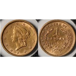 U.S. $1 Gold Piece  (124175)