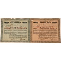 Chiapas Coffee Company Stocks  (123350)