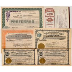 Wine Vineyard Stock Certificates (6)  (124586)