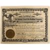 Image 1 : St. George Coca-Cola Bottling Company Stock  (123276)