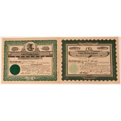 Capital Brewing Company Stock  (123352)