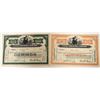 Image 1 : Tivoli Brewing Company Stocks - Green and Orange  (123246)