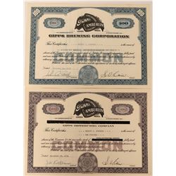 Gipps Brewing Company Stocks (2)  (123398)