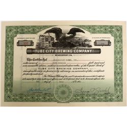 Tube City Brewing Company Stock  (123247)