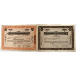 Vollmer Brewing Corporation Stocks  (123265)