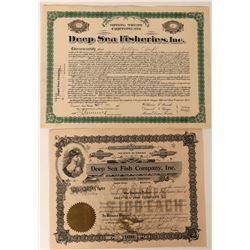 Deep Sea Fish Company Stocks  (123411)