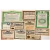 Image 1 : Canning Company Stock Certificates  (124565)