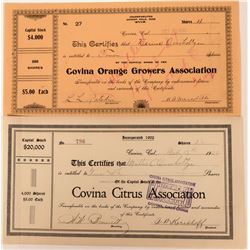 Covina Citrus Association Stocks  (123332)