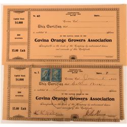 Covina Orange Growers Association  (123333)