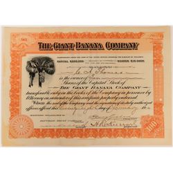 Giant Banana Company Stock  (123399)