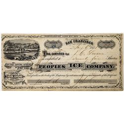 Peoples Ice Company Stock Certificate  (113719)