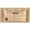Image 1 : Britannia Gold Company Stock, Nova Scotia, Canada,  1865  (118585)