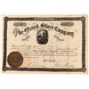 Image 1 : Ozark Silver Company Stock Certificate, Hot Springs, Arkansas, 1880  (118589)