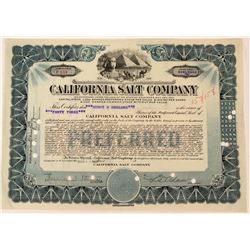 California Salt Company Stock  (123355)