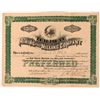 Image 1 : Tem Piute Mining & Milling Co Stock Certificate, Nevada, 1907  (118592)