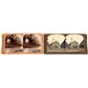 Image 1 : Hawaii Stereoviews  (119366)