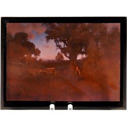 Color glass Negative Plate.  (125341)