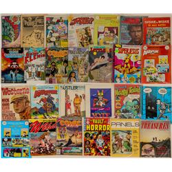 Adult Comic Sampler Box  (124460)