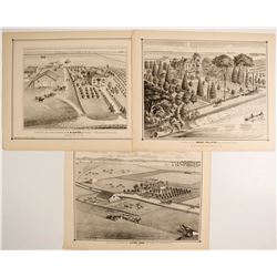 Thompson & West Lithographs  (82457)