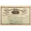 Image 1 : Ferre Mining Company Stock Certificate  (60677)