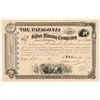 Image 1 : Patagonia Silver MIning Company Stock  (91699)