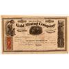 Image 1 : Oak Hill Gold Mining Company Stock Certificate  (107709)