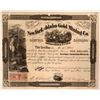 Image 1 : New York & Idaho Gold MC Stock, 1864  (110202)