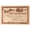 Image 1 : United States Gold & Copper Stock, Humboldt Co. Nevada, 1907  (118595)