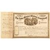 Image 1 : New Mexico Mining Company Stock Certificate  (60272)