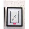 Image 1 : Richard Shorty Framed Print- Hummingbird