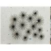Image 1 : 14 New Black and Gold Metal Wall Art Pieces