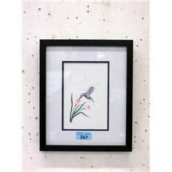 Richard Shorty Framed Print- Hummingbird