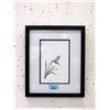 Image 1 : Richard Shorty Framed Print- Hummingbird