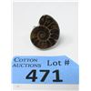 Image 1 : New Ammonite Fossil Ring - Size 8.5